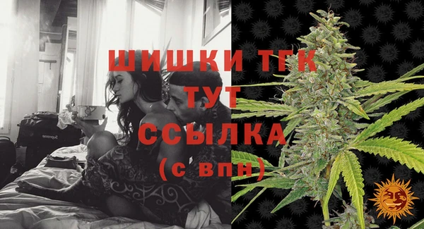 стафф Корсаков