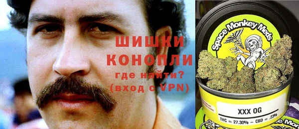 стафф Корсаков