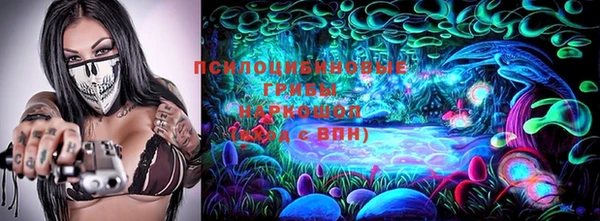 стафф Корсаков