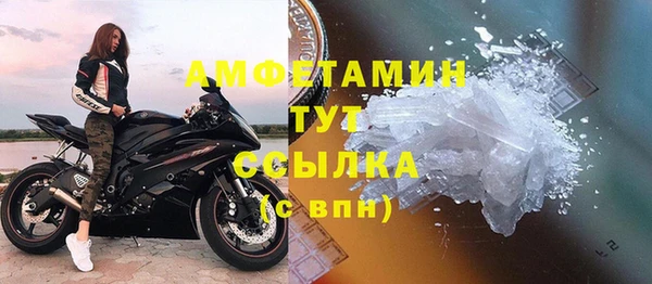 стафф Корсаков